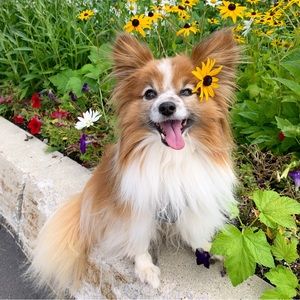 Meet your Posher, Christine